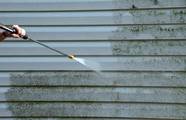 Home Mold Removal in Pendleton, SC