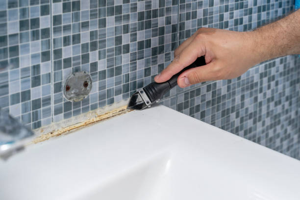 Best Mold Testing  in Pendleton, SC