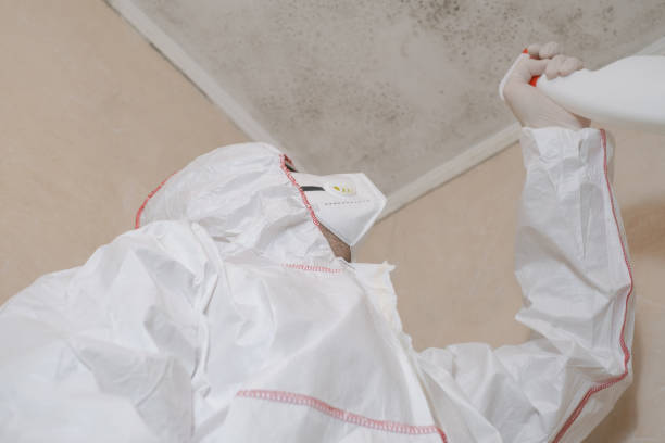 Best Certified Mold Removal  in Pendleton, SC